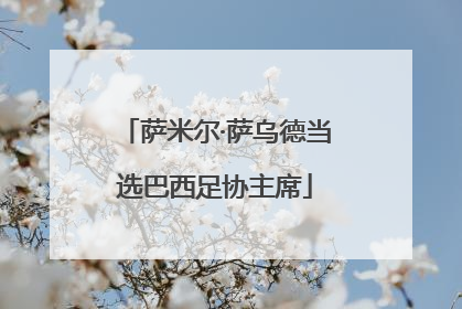 萨米尔·萨乌德当选巴西足协主席