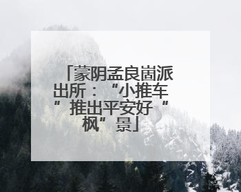 蒙阴孟良崮派出所：“小推车”推出平安好“枫”景