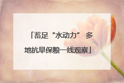 蓄足“水动力” 多地抗旱保粮一线观察