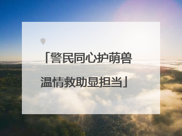 警民同心护萌兽 温情救助显担当