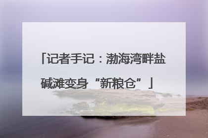 记者手记：渤海湾畔盐碱滩变身“新粮仓”