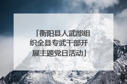 衡阳县人武部组织全县专武干部开展主题党日活动