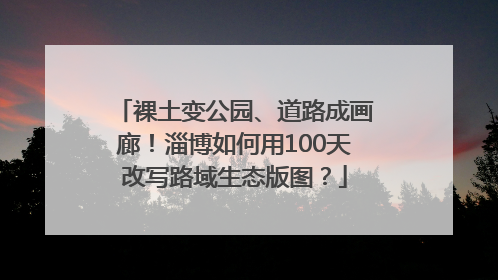 裸土变公园、道路成画廊！淄博如何用100天改写路域生态版图？