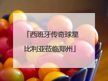 西班牙传奇球星 比利亚莅临郑州