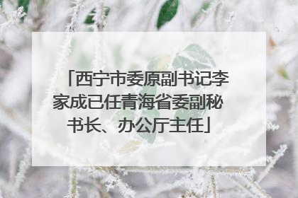 西宁市委原副书记李家成已任青海省委副秘书长、办公厅主任