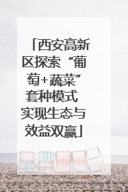 西安高新区探索“葡萄+蔬菜”套种模式 实现生态与效益双赢