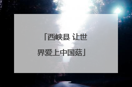 西峡县 让世界爱上中国菇