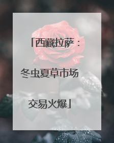 西藏拉萨：冬虫夏草市场交易火爆