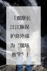 观摩长江江豚保护意外成为“现场教学”