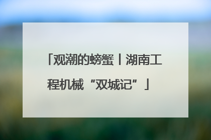 观潮的螃蟹丨湖南工程机械“双城记”