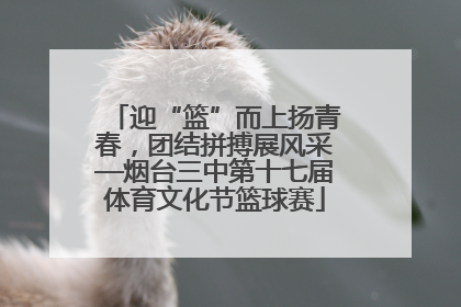 迎“篮”而上扬青春，团结拼搏展风采—烟台三中第十七届体育文化节篮球赛