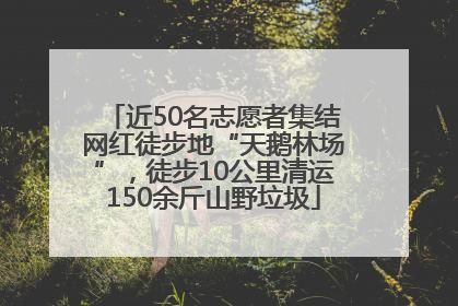 近50名志愿者集结网红徒步地“天鹅林场”，徒步10公里清运150余斤山野垃圾