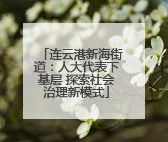 连云港新海街道：人大代表下基层 探索社会治理新模式