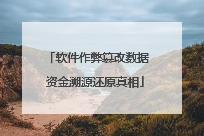 软件作弊篡改数据 资金溯源还原真相