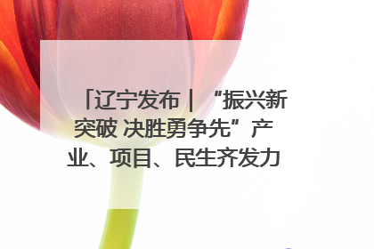 辽宁发布｜“振兴新突破 决胜勇争先”产业、项目、民生齐发力 葫芦岛按下决胜之年“加速键”