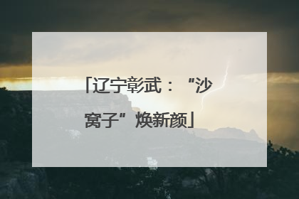 辽宁彰武：“沙窝子”焕新颜