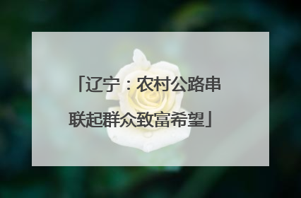 辽宁：农村公路串联起群众致富希望