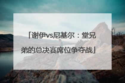 谢伊vs尼基尔：堂兄弟的总决赛席位争夺战