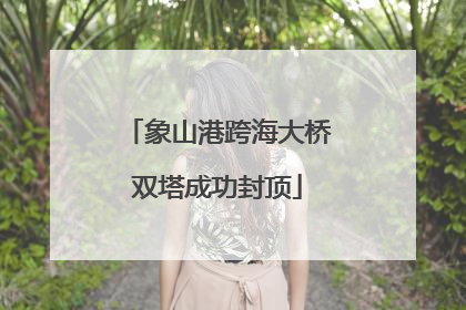 象山港跨海大桥双塔成功封顶
