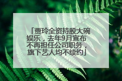 贾玲全资持股大碗娱乐，去年9月宣布不再担任公司职务，旗下艺人均不续约