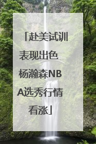 赴美试训表现出色 杨瀚森NBA选秀行情看涨
