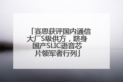 赛思获评国内通信大厂S级供方，跻身国产SLIC语音芯片领军者行列