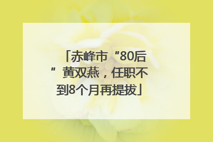 赤峰市“80后”黄双燕，任职不到8个月再提拔