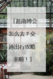 逛南博会怎么去？交通出行攻略来啦！