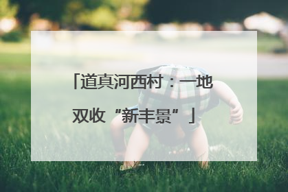 道真河西村：一地双收“新丰景”