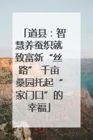 道县：智慧养蚕织就致富新“丝路” 千亩桑园托起“家门口”的幸福