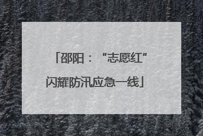 邵阳：“志愿红”闪耀防汛应急一线