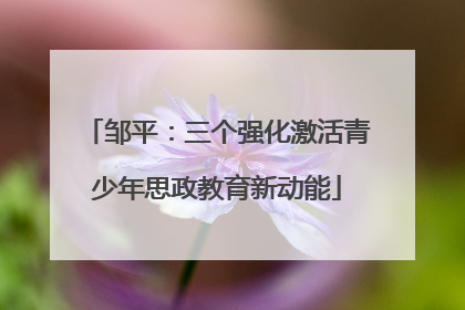 邹平：三个强化激活青少年思政教育新动能