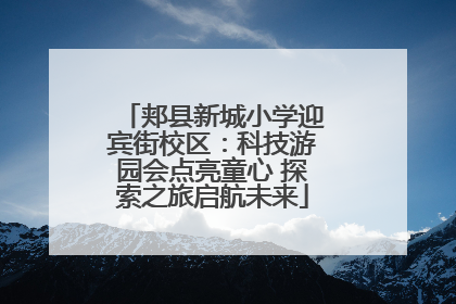 郏县新城小学迎宾街校区：科技游园会点亮童心 探索之旅启航未来