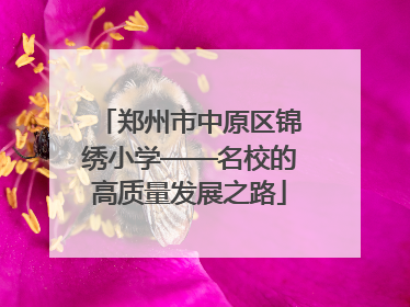 郑州市中原区锦绣小学——名校的高质量发展之路
