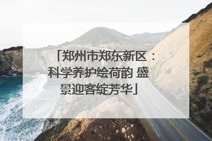 郑州市郑东新区：科学养护绘荷韵 盛景迎客绽芳华