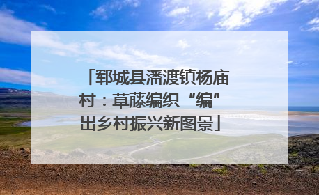 郓城县潘渡镇杨庙村：草藤编织“编”出乡村振兴新图景