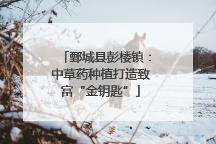 鄄城县彭楼镇：中草药种植打造致富“金钥匙”