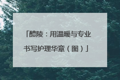 醴陵：用温暖与专业 书写护理华章（图）