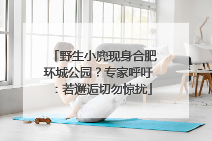 野生小麂现身合肥环城公园？专家呼吁：若邂逅切勿惊扰
