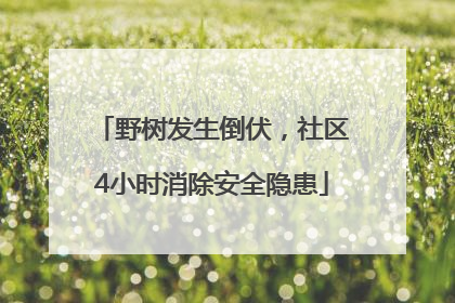野树发生倒伏，社区4小时消除安全隐患