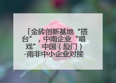 金砖创新基地“搭台”，中南企业“唱戏” 中国（厦门）-南非中小企业对接会在厦举办