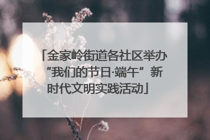金家岭街道各社区举办“我们的节日·端午”新时代文明实践活动