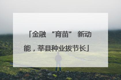 金融 “育苗” 新动能，莘县种业拔节长