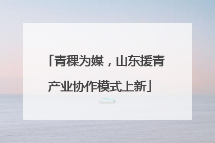 青稞为媒，山东援青产业协作模式上新