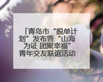 青岛市“脱单计划”发布暨“山海为证 团聚幸福”青年交友联谊活动浪漫开启