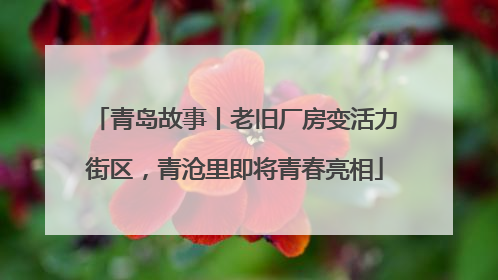 青岛故事丨老旧厂房变活力街区，青沧里即将青春亮相