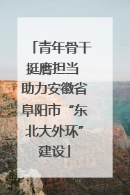 青年骨干挺膺担当 助力安徽省阜阳市“东北大外环”建设