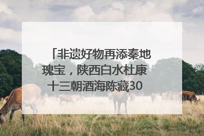 非遗好物再添秦地瑰宝，陕西白水杜康十三朝酒海陈藏30年别具一格