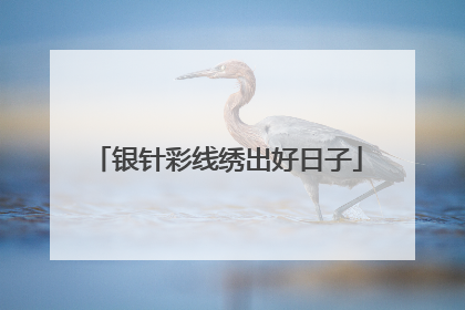 银针彩线绣出好日子