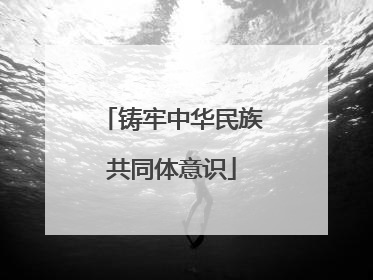 铸牢中华民族共同体意识